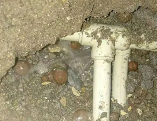 通川卫生间测漏
